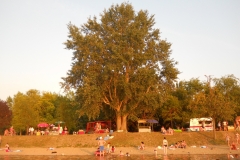 DSCN1707