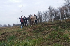 IMG-394f961824059e0b8179123b02318e85-V