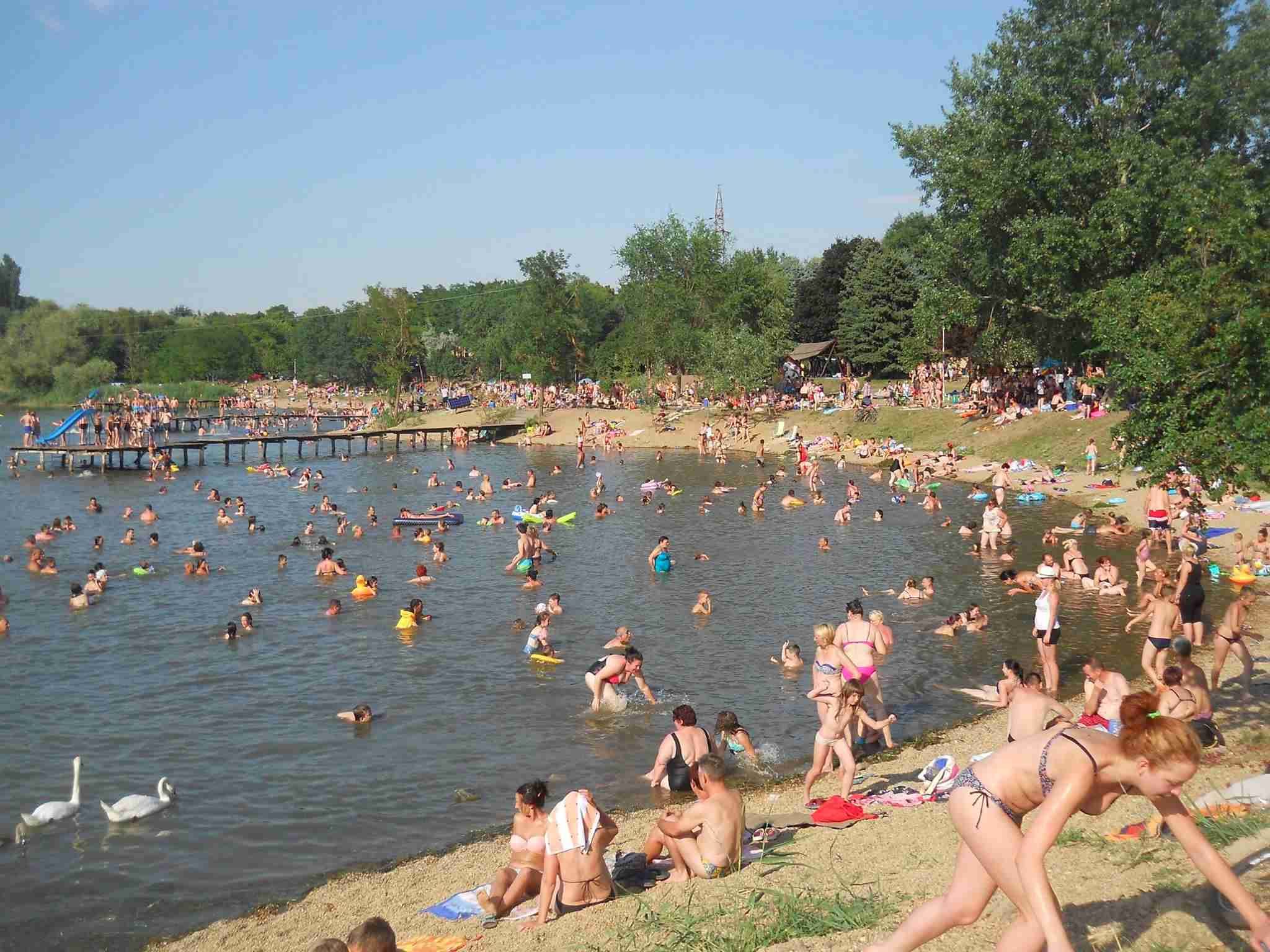 Bačkotopolsko jezero - Iz Voda ćemo sporo do vode a vremena nemamo