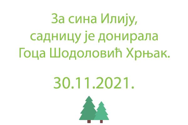 Tabla uz lipu: Za sina Iliju