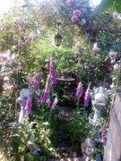 IMG-20170527-161125