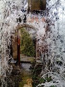 IMG-20200118-131735