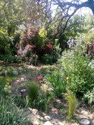 IMG-20200524-144534