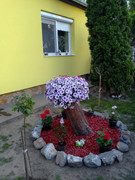 IMG-20200521-195233
