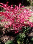 IMG-20191020-113429