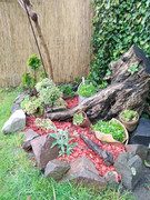 IMG-20200528-175030