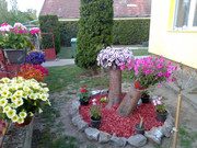 IMG-20200521-195247