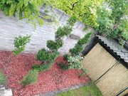 IMG-20200528-174834